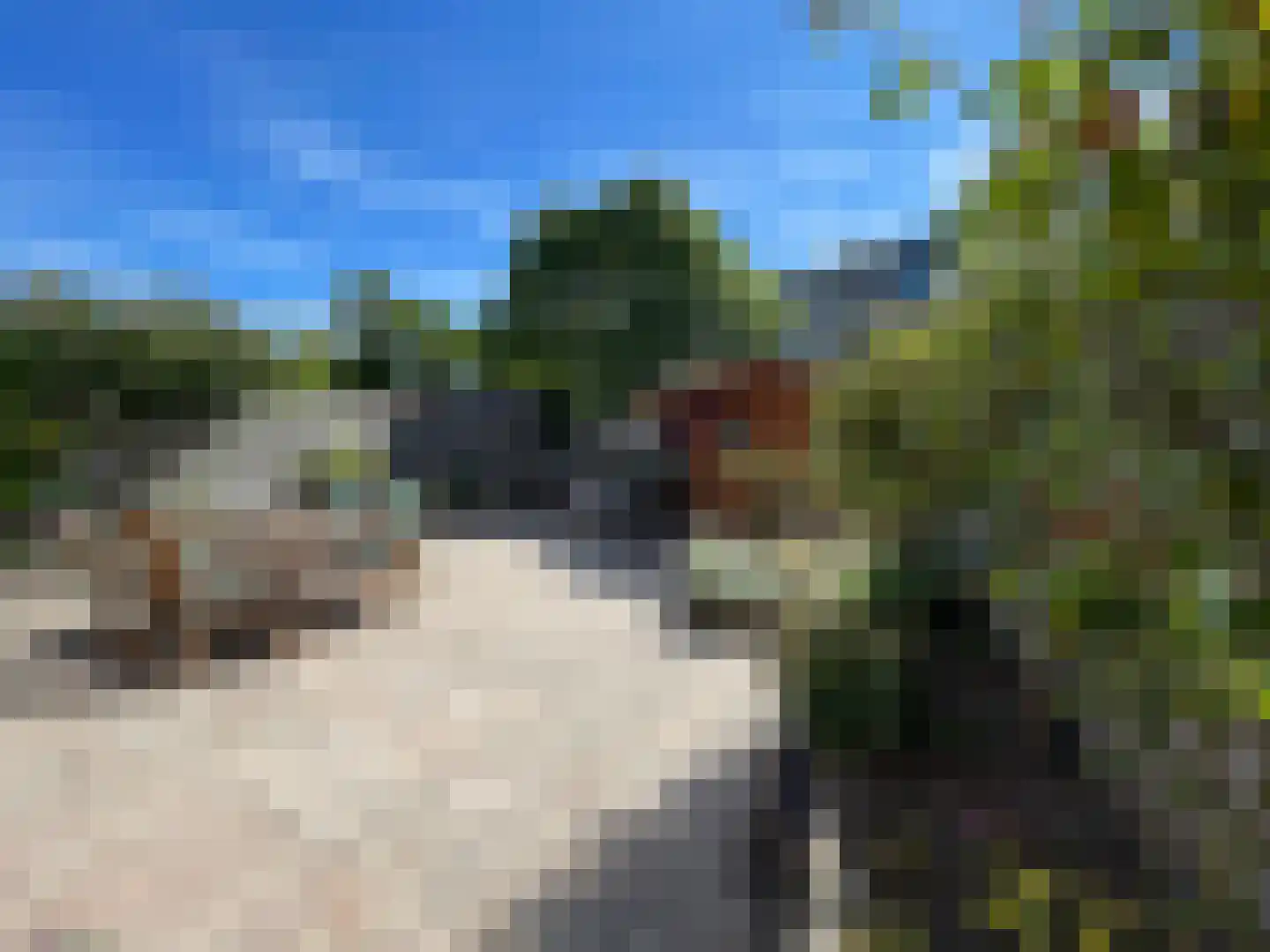 Waterlijn 16 Monster thumbnail 16