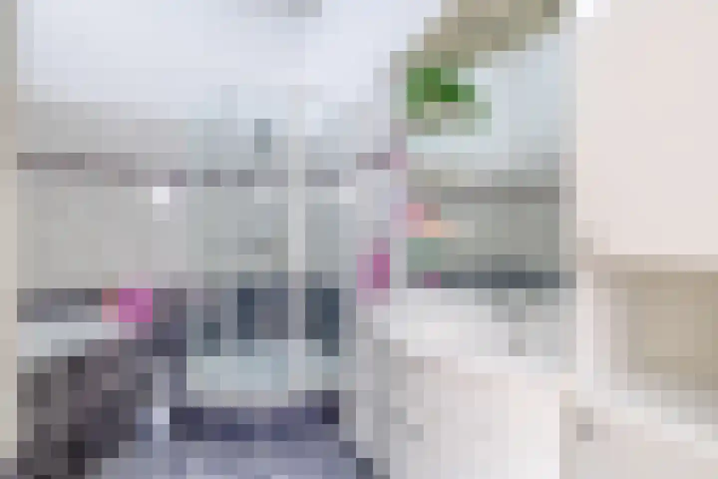 Waterlijn 16 Monster thumbnail 21