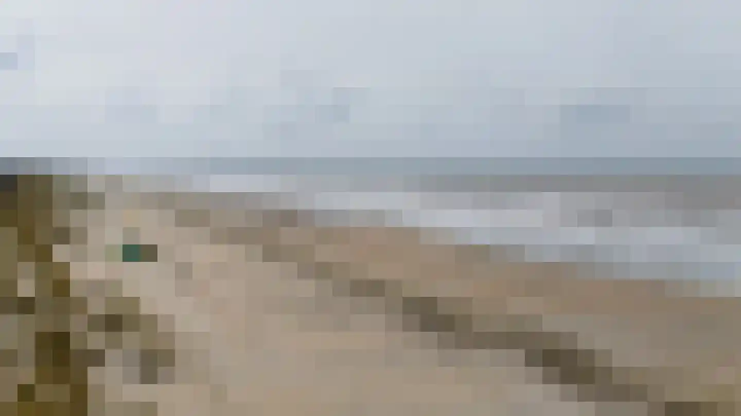 Waterlijn 16 Monster thumbnail 33