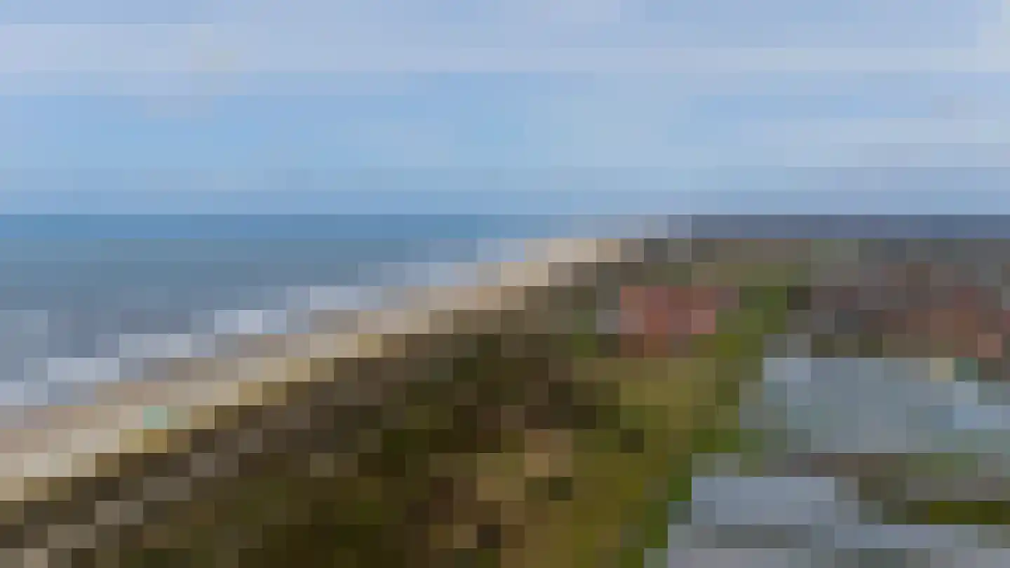 Waterlijn 16 Monster thumbnail 35