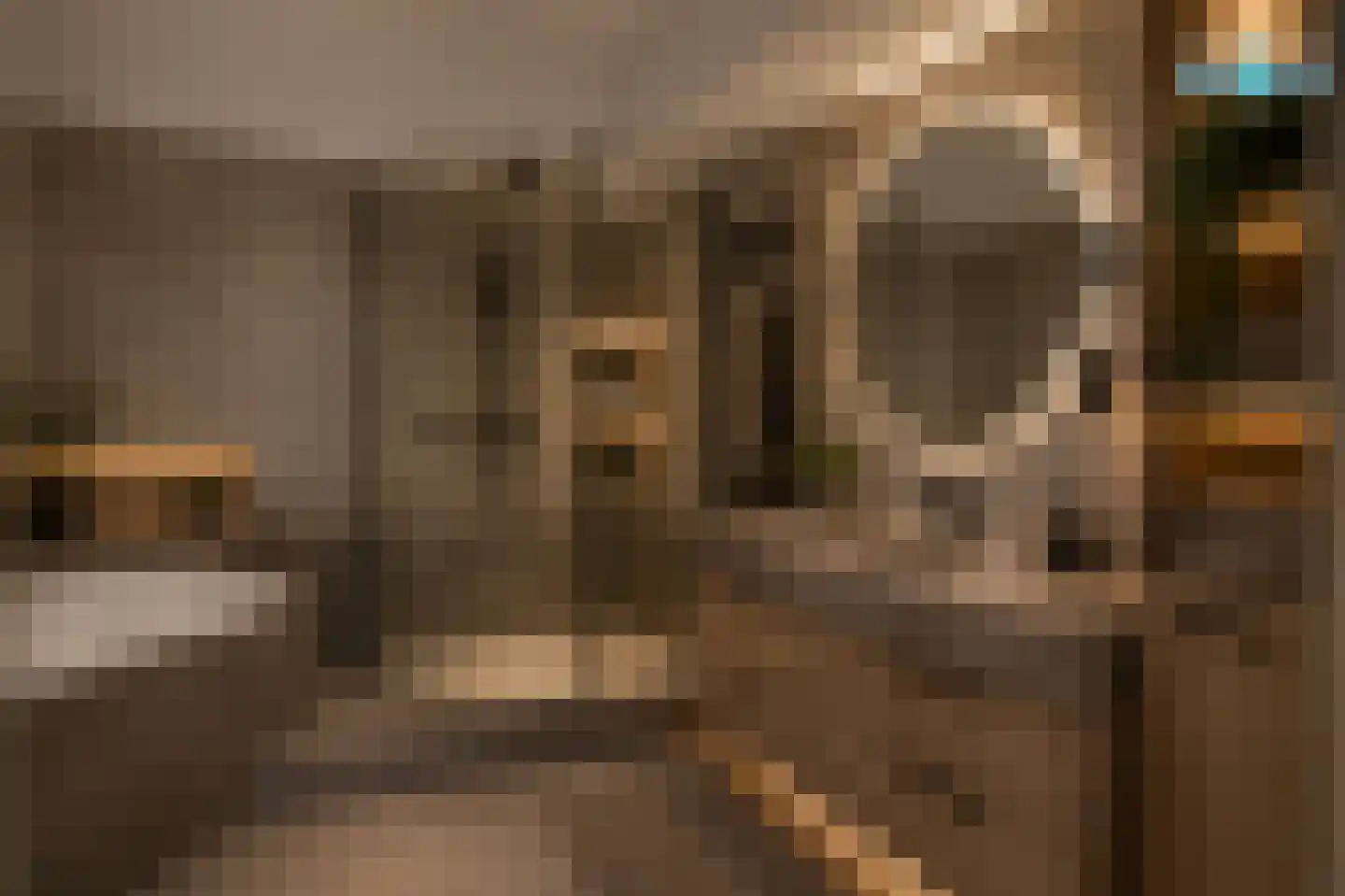 Waterlijn 16 Monster thumbnail 5