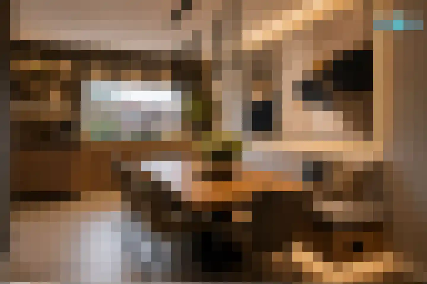 Waterlijn 16 Monster thumbnail 9