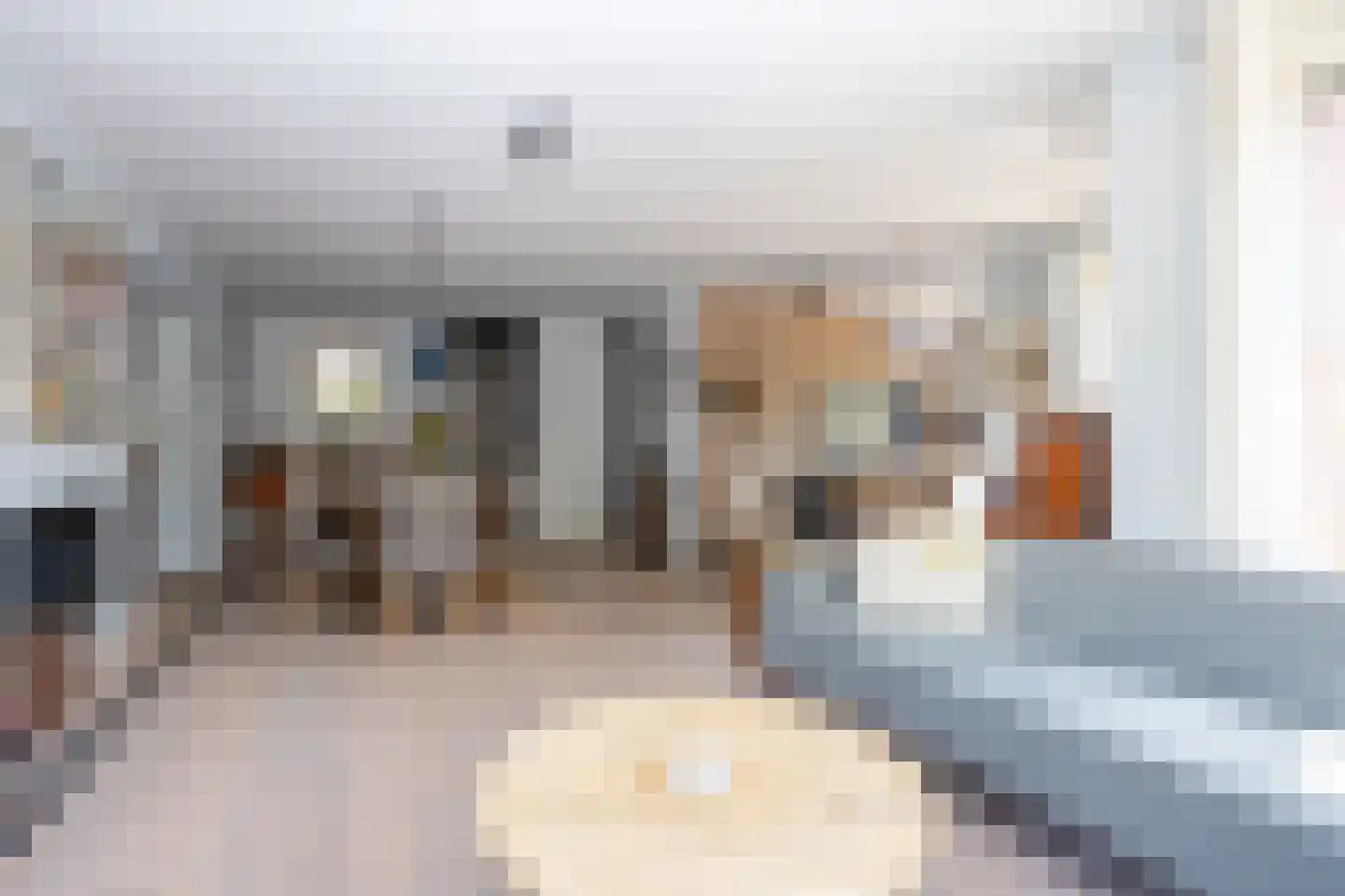 Waterlinie 1 Berkel en Rodenrijs thumbnail 10