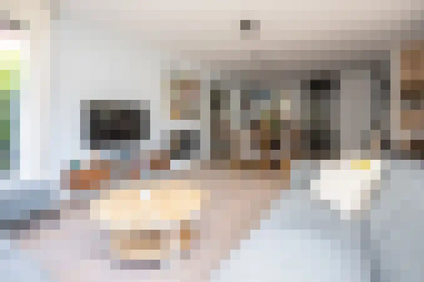 Waterlinie 1 Berkel en Rodenrijs thumbnail 11