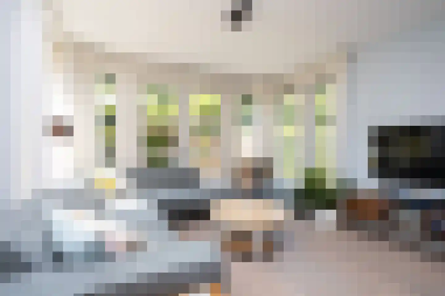 Waterlinie 1 Berkel en Rodenrijs thumbnail 12