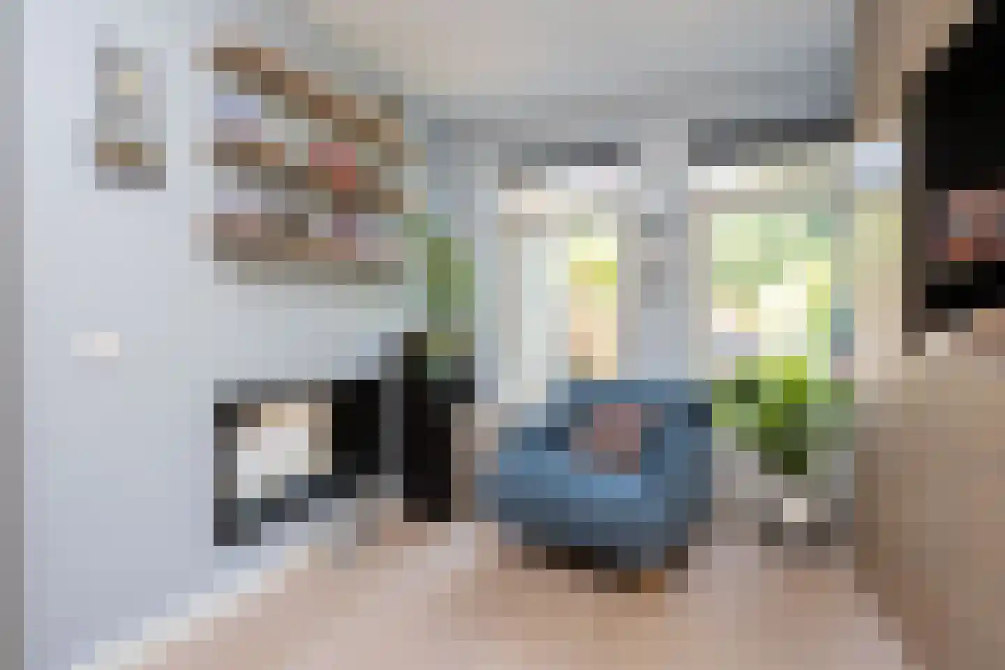 Waterlinie 1 Berkel en Rodenrijs thumbnail 22