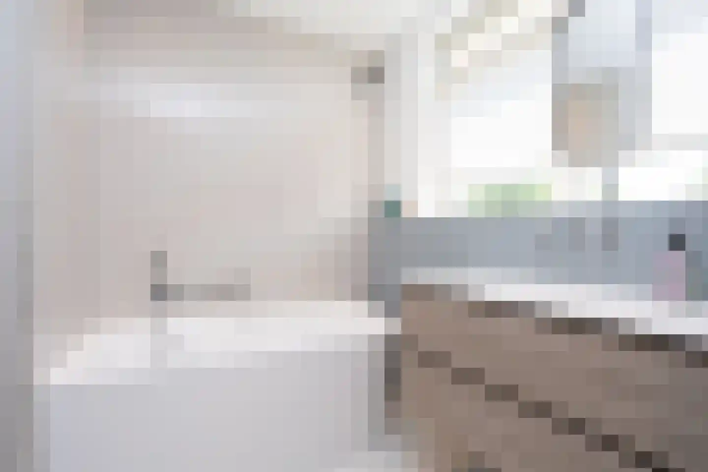 Waterlinie 1 Berkel en Rodenrijs thumbnail 40