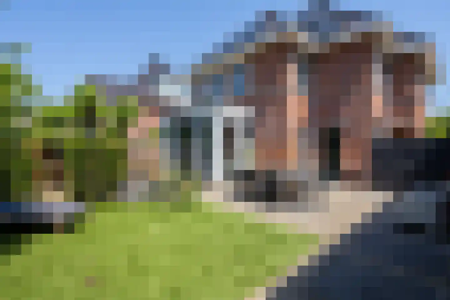 Waterlinie 1 Berkel en Rodenrijs thumbnail 57