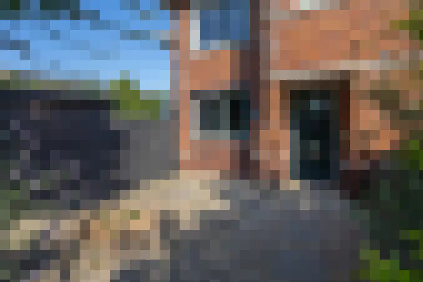 Waterlinie 1 Berkel en Rodenrijs thumbnail 6