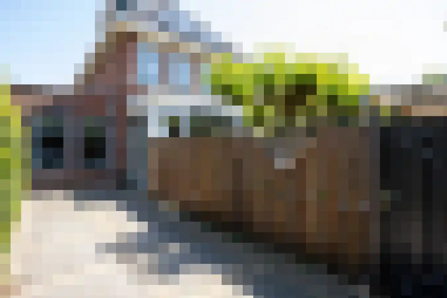 Waterlinie 1 Berkel en Rodenrijs thumbnail 60