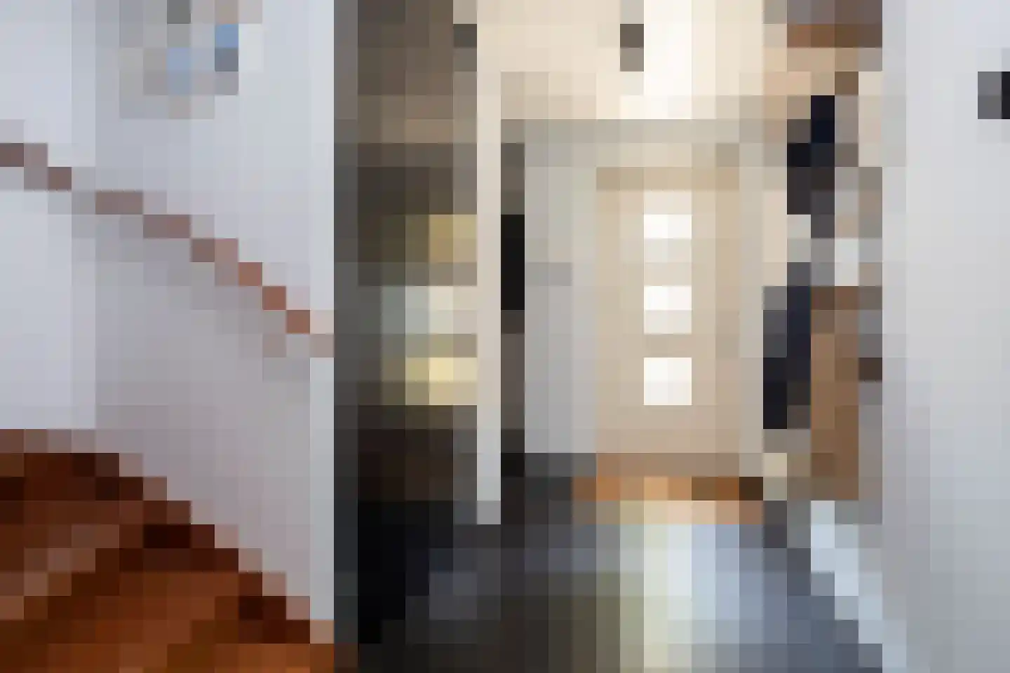 Waterlinie 1 Berkel en Rodenrijs thumbnail 8