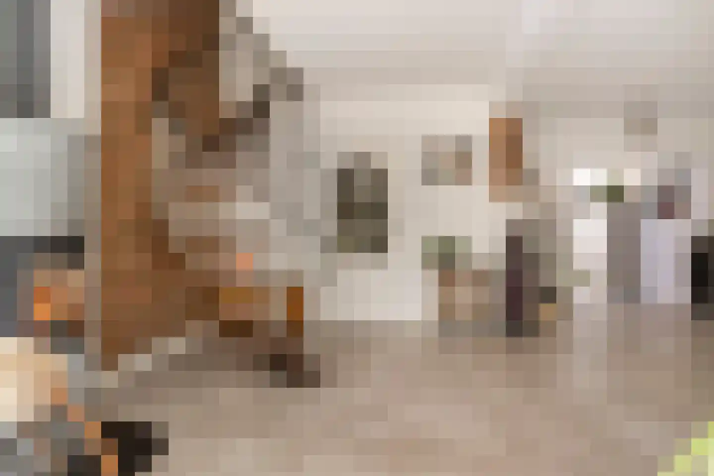 Waterlinie 10 Huissen thumbnail 11