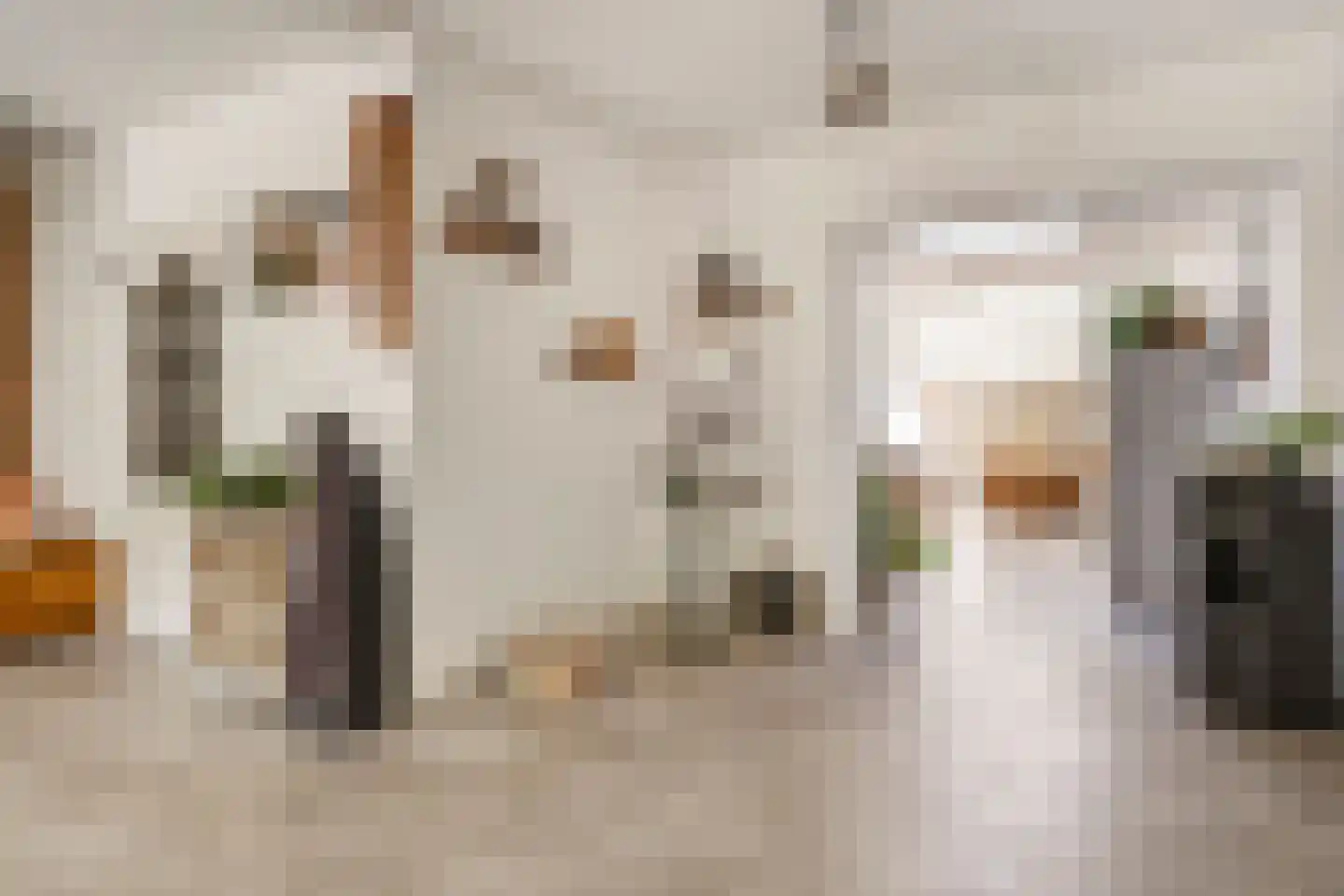 Waterlinie 10 Huissen thumbnail 14