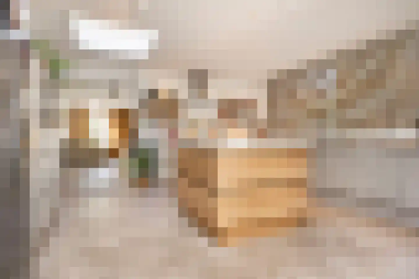 Waterlinie 10 Huissen thumbnail 19