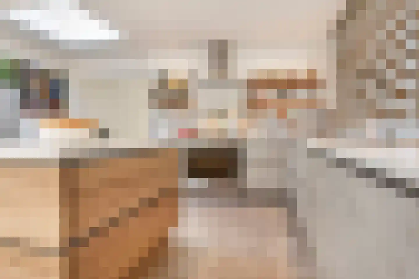 Waterlinie 10 Huissen thumbnail 20