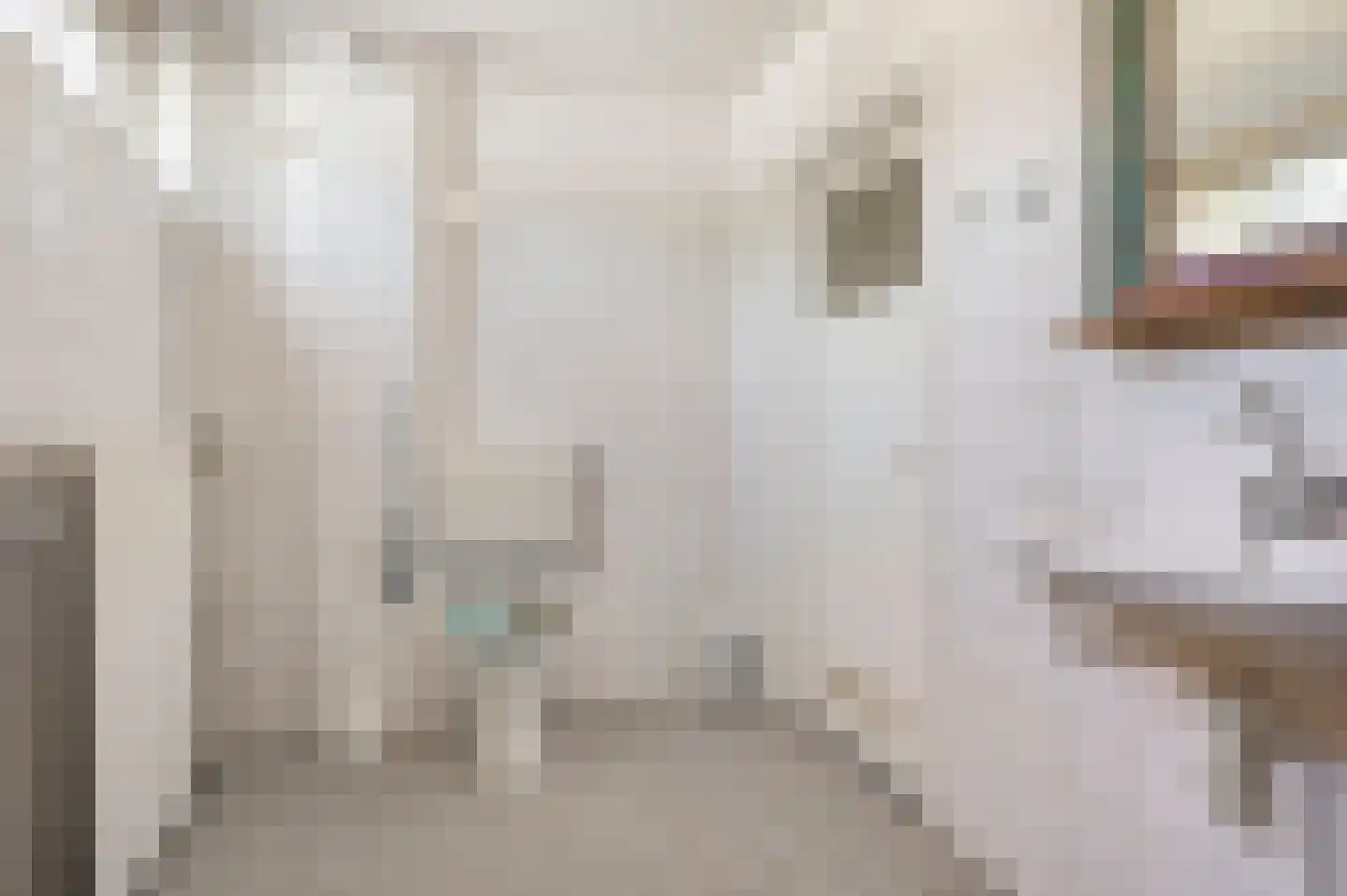 Waterlinie 10 Huissen thumbnail 32