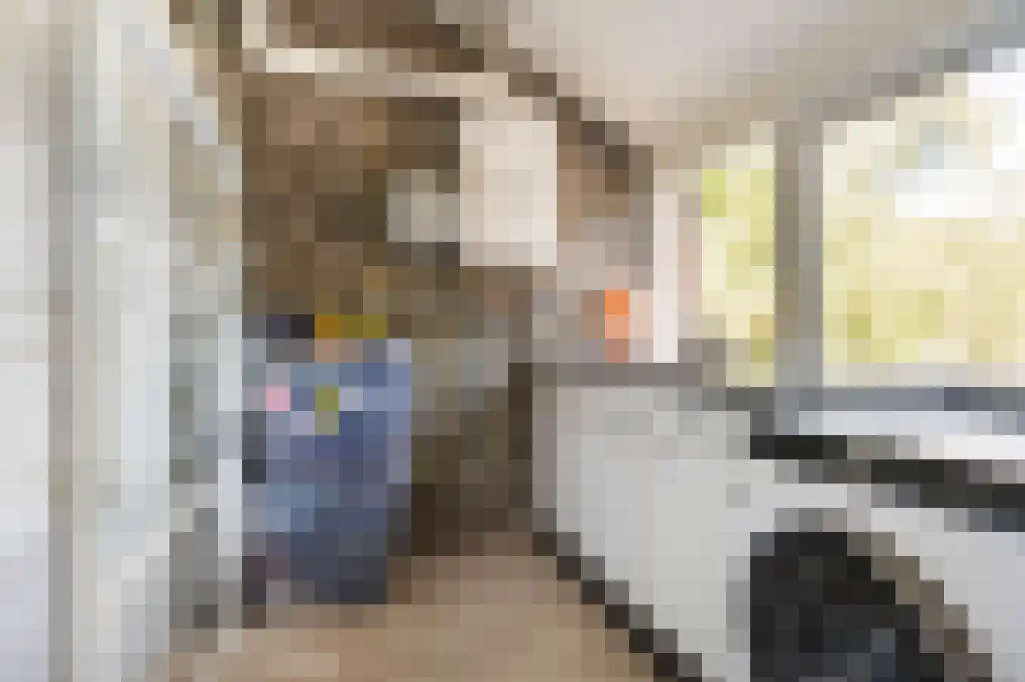 Waterlinie 10 Huissen thumbnail 41