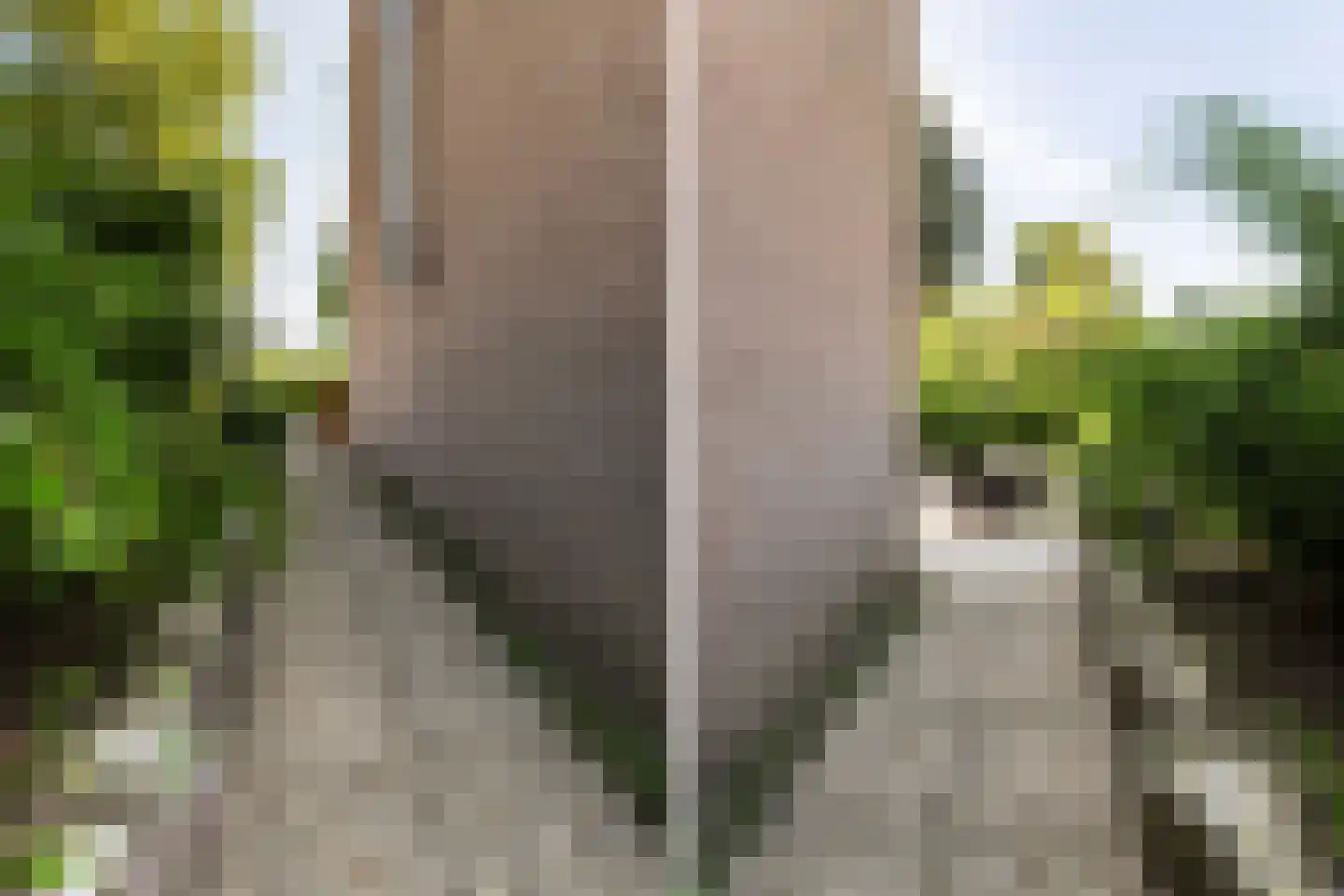 Waterlinie 10 Huissen thumbnail 51
