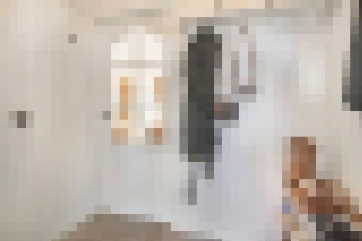 Waterlinie 10 Huissen thumbnail 6