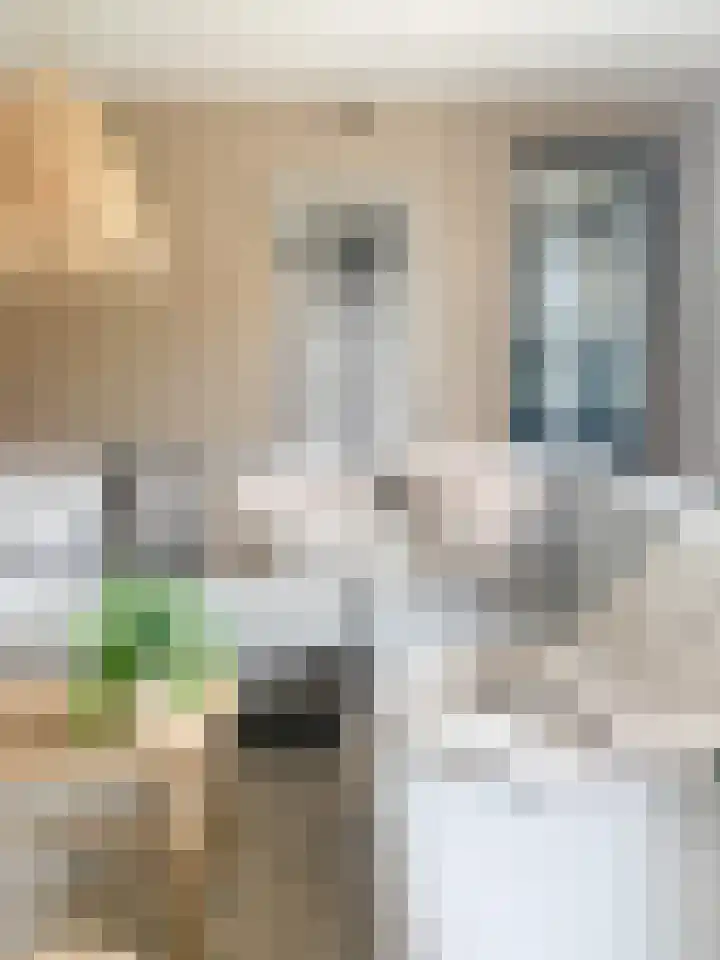 Waterlinie 116 Sleeuwijk thumbnail 14