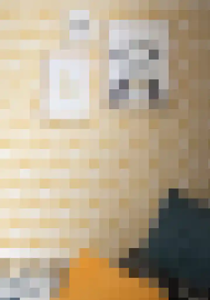 Waterlinie 116 Sleeuwijk thumbnail 25