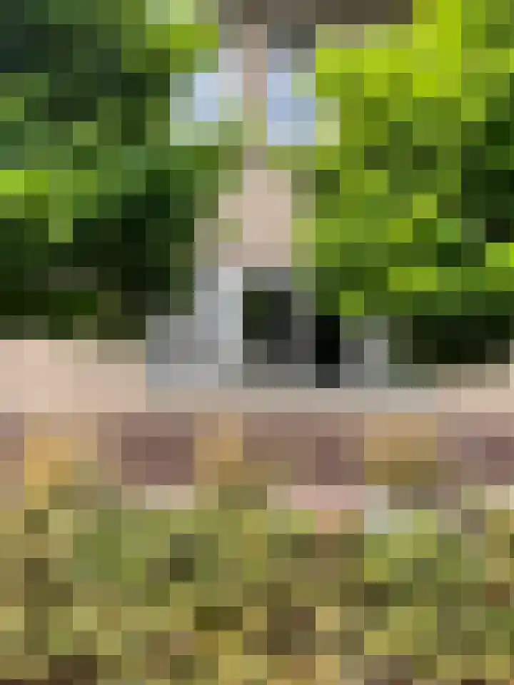 Waterlinie 116 Sleeuwijk thumbnail 35