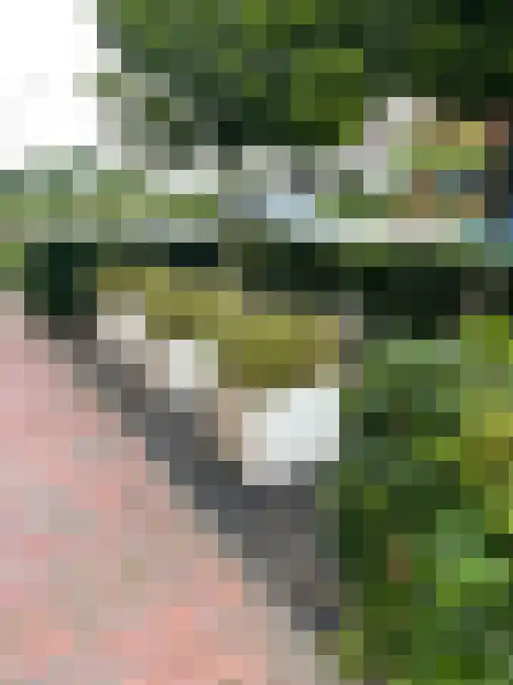 Waterlinie 116 Sleeuwijk thumbnail 36