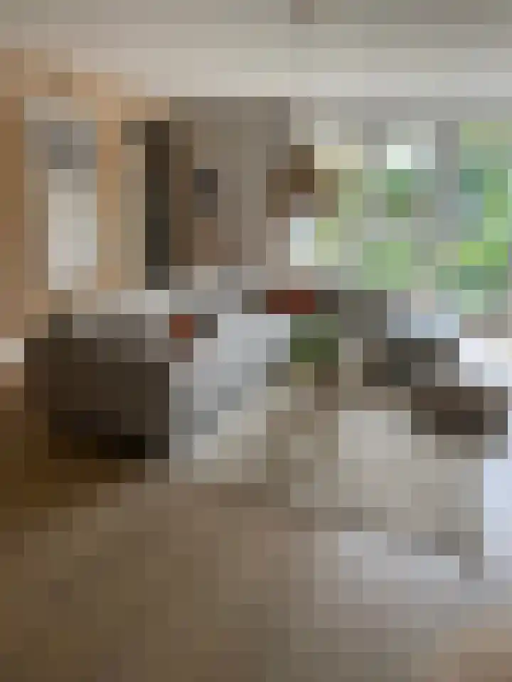Waterlinie 116 Sleeuwijk thumbnail 4
