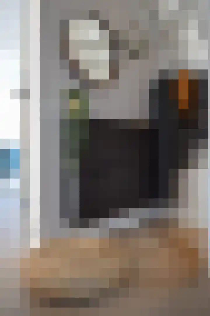 Waterlinie 116 Sleeuwijk thumbnail 7