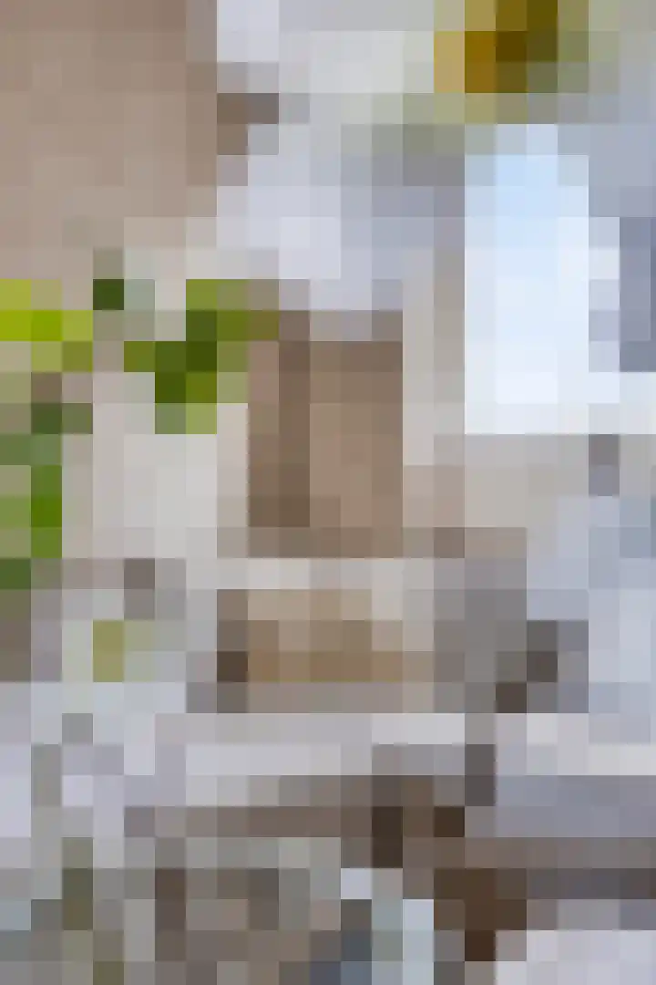 Waterlinie 132 Steenbergen thumbnail 11