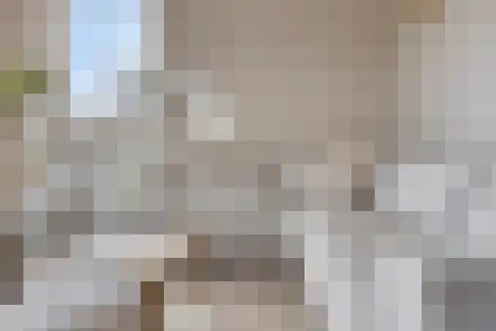 Waterlinie 132 Steenbergen thumbnail 14