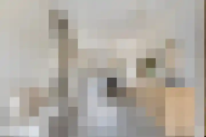 Waterlinie 132 Steenbergen thumbnail 17