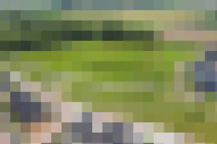 Waterlinie 132 Steenbergen thumbnail 55