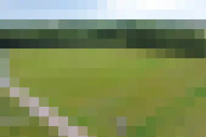 Waterlinie 132 Steenbergen thumbnail 58