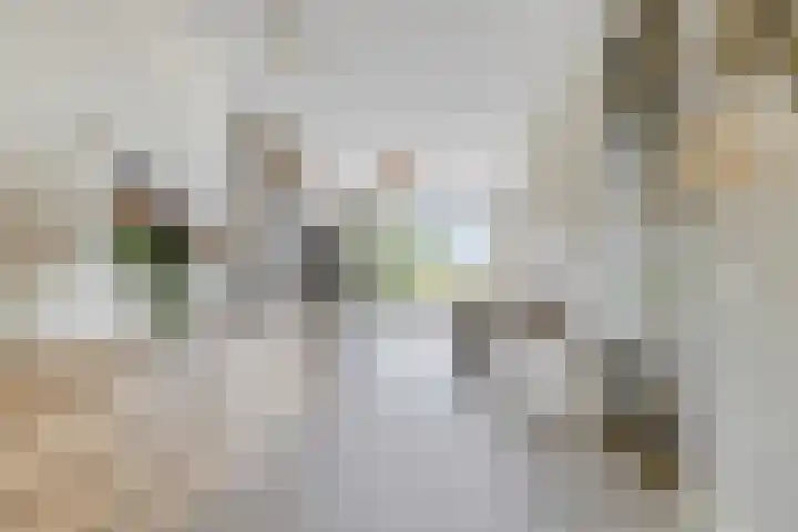 Waterlinie 132 Steenbergen thumbnail 8