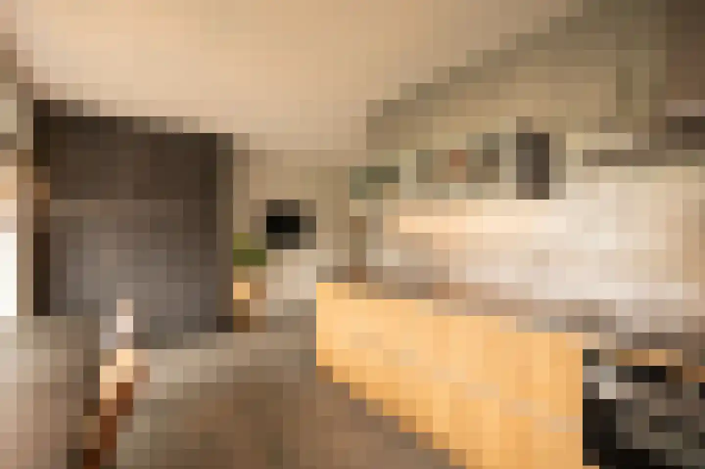 Waterlinie 136 Sleeuwijk thumbnail 9