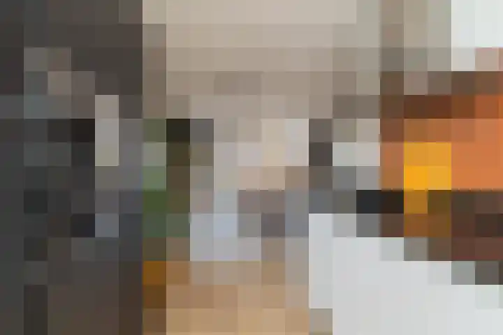 Waterlinie 150 Sleeuwijk thumbnail 12
