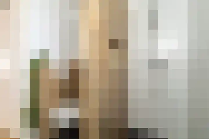 Waterlinie 150 Sleeuwijk thumbnail 23