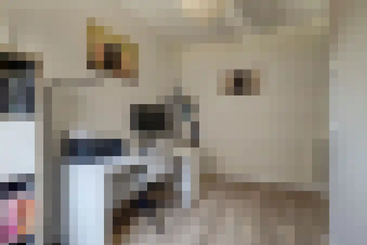 Waterlinie 152 Sleeuwijk thumbnail 33