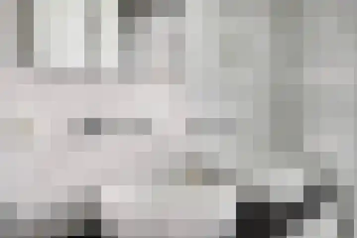 Waterlinie 179 Eindhoven thumbnail 22