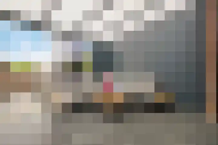 Waterlinie 179 Eindhoven thumbnail 29