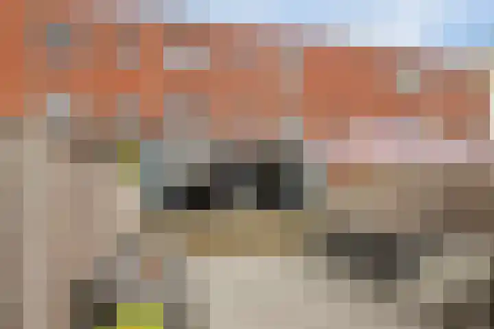 Waterlinie 179 Eindhoven thumbnail 32