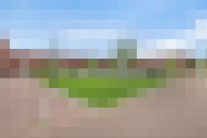 Waterlinie 179 Eindhoven thumbnail 39