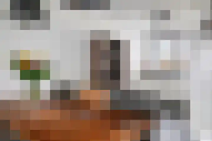 Waterlinie 179 Eindhoven thumbnail 6