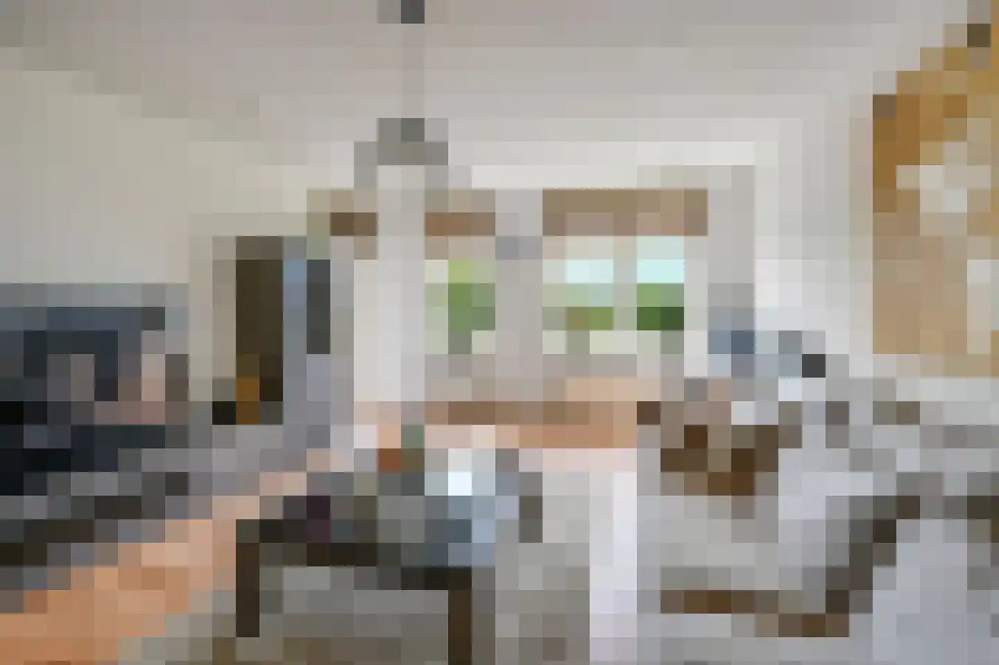 Waterlinie 20 Berkel en Rodenrijs thumbnail 8