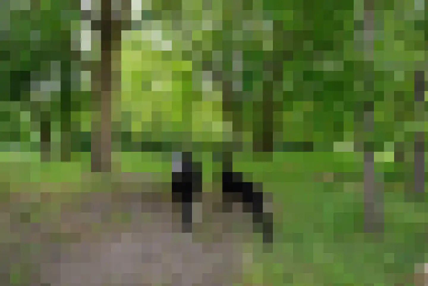 Waterlinie 20 Leusden thumbnail 48