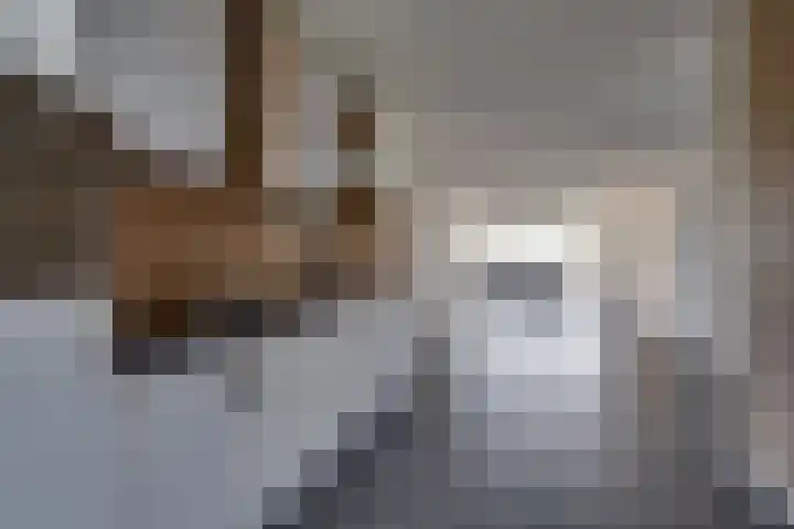 Waterlinie 24 Sleeuwijk thumbnail 13