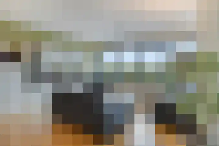 Waterlinie 26 Steenbergen thumbnail 13