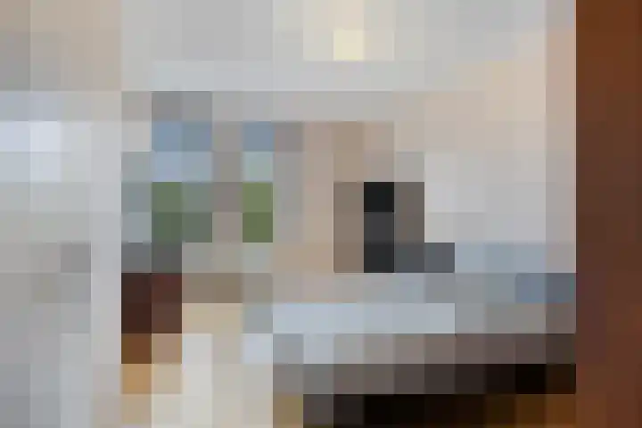 Waterlinie 26 Steenbergen thumbnail 20