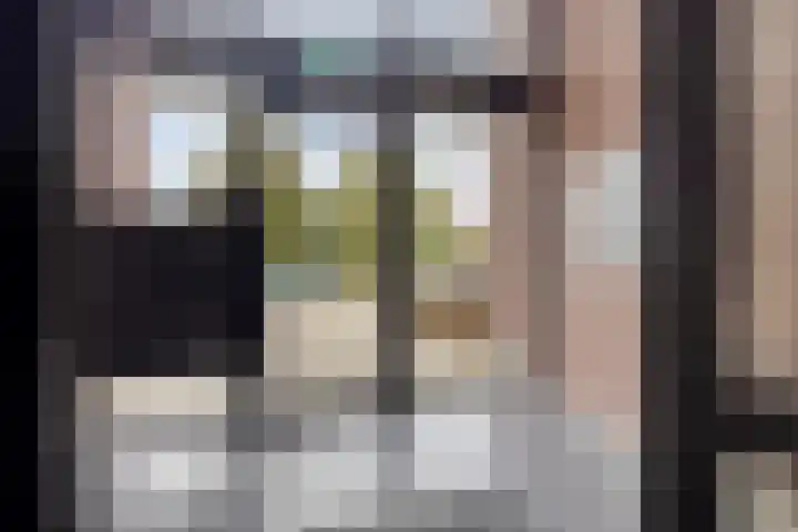 Waterlinie 26 Steenbergen thumbnail 6